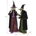 Member's Mark Pre-Lit Animated Crystal Ball Witches, Set of 2 nirvanaguru