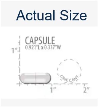 Life Extension Neuro-Mag Magnesium L-Threonate, Magnesium L-threonate, Memory Health, Quick Thinking, Cognitive Health Support, Vegetarian, Non-GMO, 90 Vegetarian Capsules - Nirvana Guru