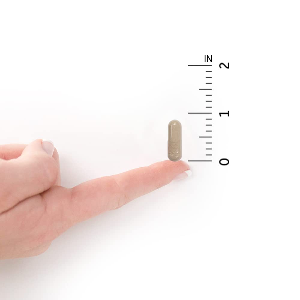 Garden of Life - Vitamin Code Raw VitaminC - 120 Vegan Capsules, 500mg Whole Food VitaminC with Bioflavonoids, Fruits & Veggies, Probiotics, Gluten Free Vitamin-C Supplements for Adults - Nirvana Guru