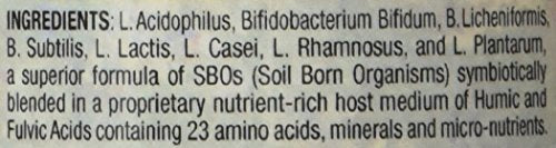 Body Biotics Bio-Identical SBO Probiotics Consortia, Probiotic and Prebiotic Supplement, Non-Dairy, 90 Capsules Nirvana Guru