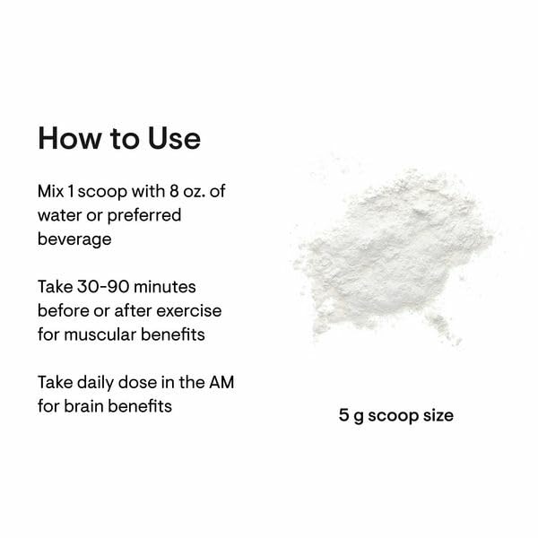 THORNE Creatine - Micronized Creatine Monohydrate Powder, Amino Acid Support for Muscles, Cellular Energy & Cognitive Function* - Unflavored - NSF Certified for Sport - 5 g per Serving - 90 Servings - Nirvana Guru