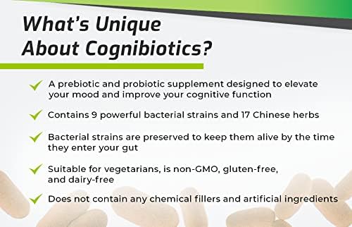 BiOptimizers The Ultimate Gut Health Stack - Chocolate, Promotes and Levels Gut Health Nirvana Guru