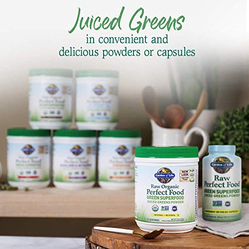 Garden of Life Raw Organic Perfect Food Green Superfood Juiced Greens Powder - Chocolate, 30 Servings (Packaging May Vary) - Nirvana Guru