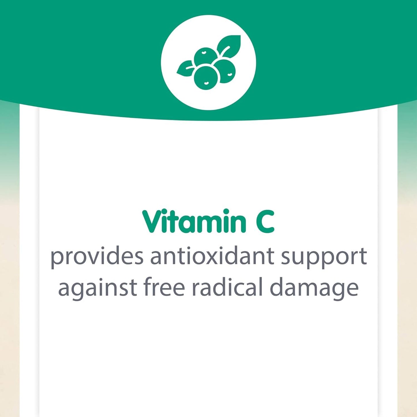 Natural Factors, Kids Chewable Vitamin C 500 mg, Supports Immune Health, Bones, Teeth and Gums, Tangy Orange, 180 Count (Pack of 1) - Nirvana Guru