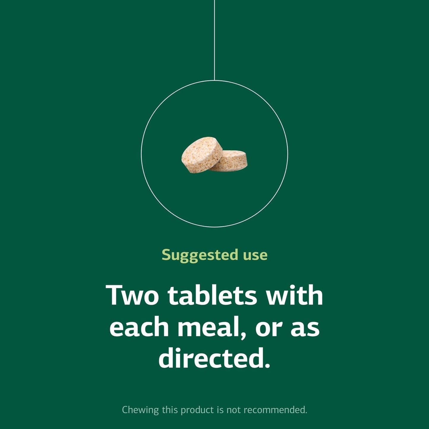 Standard Process Inc. Zypan - Digestive Health Support Supplement - HCI Supplement with Pancreatin, Betaine Hydrochloride & Pepsin - Support Macronutrient Digestion - 330 Tablets Nirvana Guru