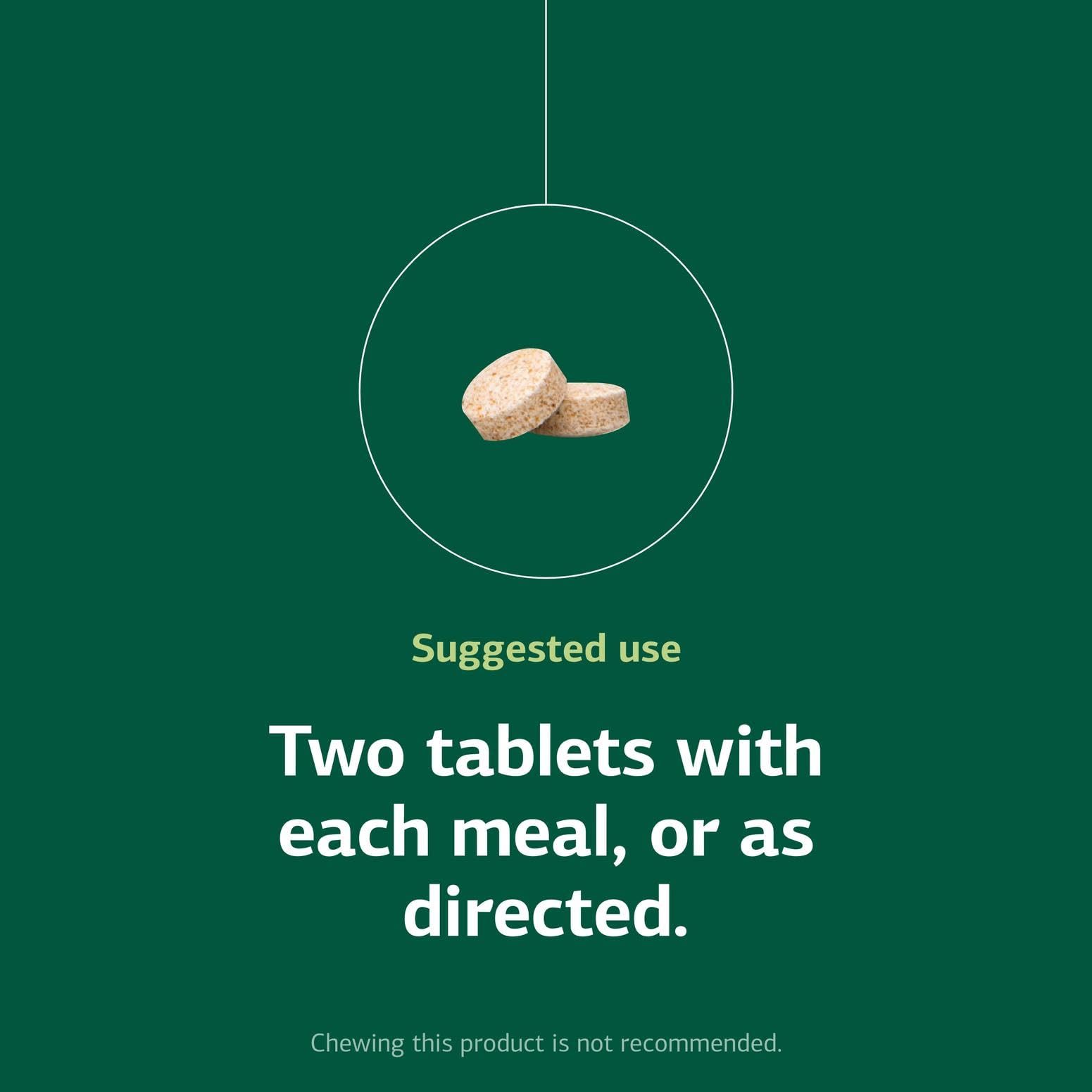 Standard Process Inc. Zypan - Digestive Health Support Supplement - HCI Supplement with Pancreatin, Betaine Hydrochloride & Pepsin - Support Macronutrient Digestion - 330 Tablets Nirvana Guru