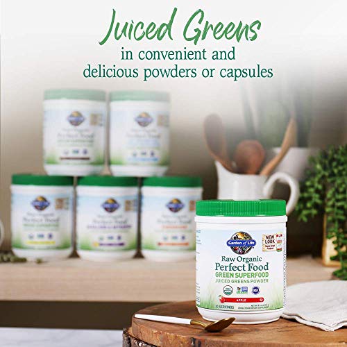 Garden of Life Raw Organic Perfect Food Green Superfood Juiced Greens Powder - Chocolate, 30 Servings (Packaging May Vary) - Nirvana Guru