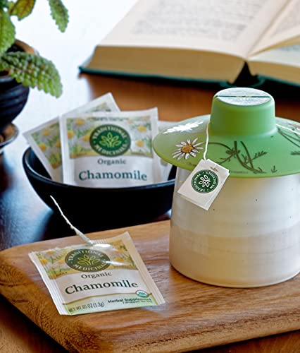 Traditional Medicinals Organic Red Clover, Caffeine Free, 16 Wrapped Tea Bags, 1.13 oz (32 g) - Nirvana Guru