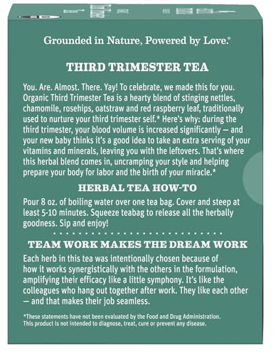 Earth Mama Organic Third Trimester Tea Bags | 100% USDA Organic Herbal Tea for Late Pregnancy Comfort + Childbirth Preparation, 16 Teabags Per Box (2-Pack) Nirvana Guru