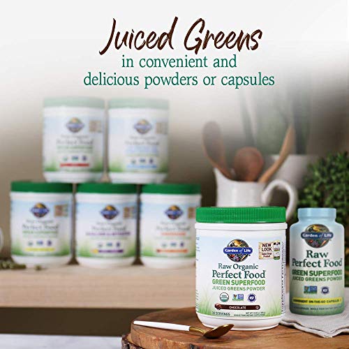 Garden of Life Raw Organic Perfect Food Green Superfood Juiced Greens Powder - Chocolate, 30 Servings (Packaging May Vary) - Nirvana Guru