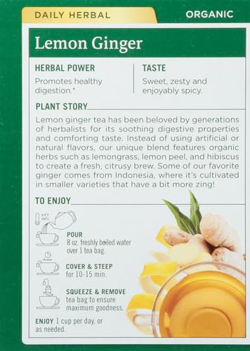 Traditional Medicinals Tea, Organic Ginger, Healthy Digestion, Pleasantly Spicy & Warming, 16 Tea Bags - Nirvana Guru