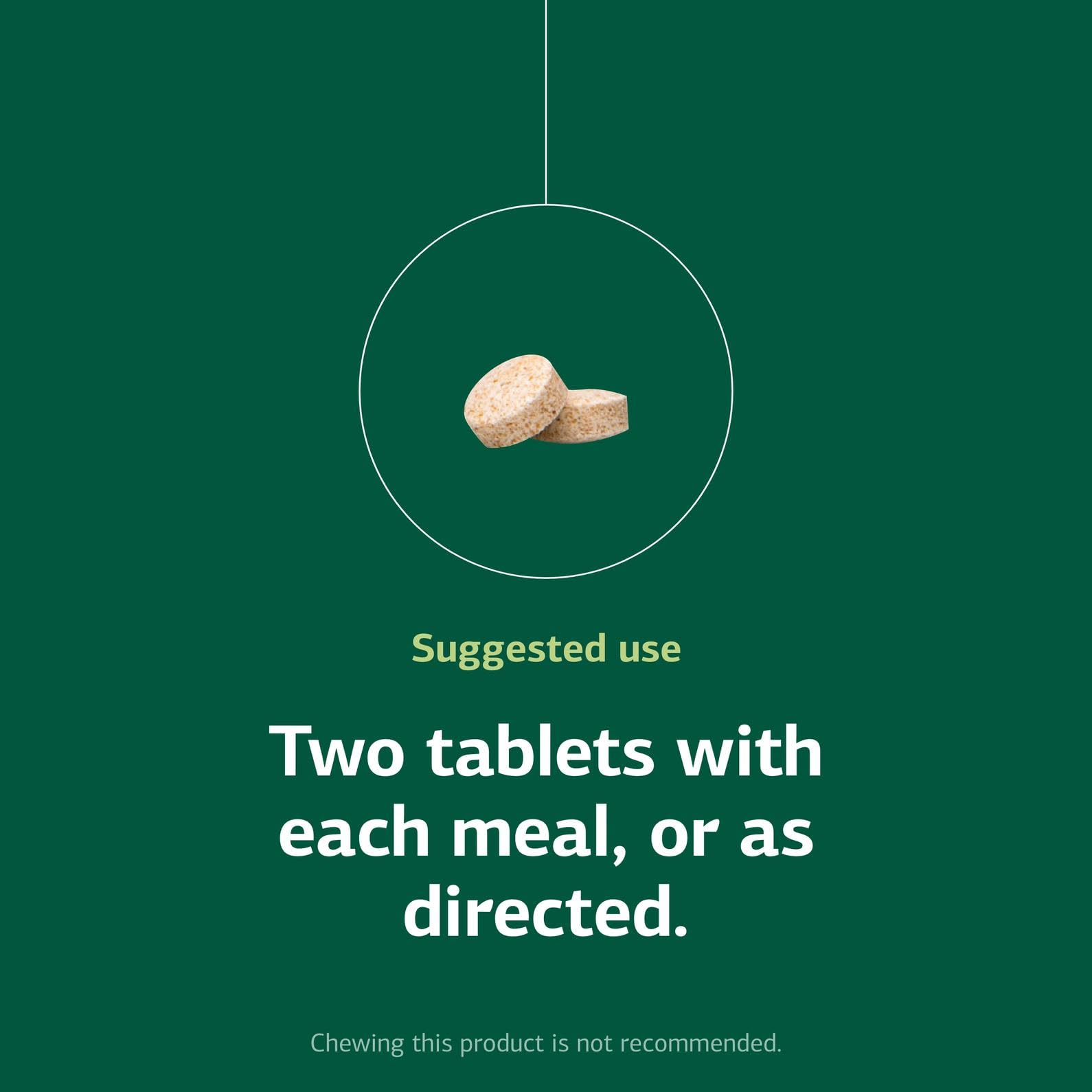 Standard Process Inc. Zypan - Digestive Health Support Supplement - HCI Supplement with Pancreatin, Betaine Hydrochloride & Pepsin - Support Macronutrient Digestion - 330 Tablets Nirvana Guru