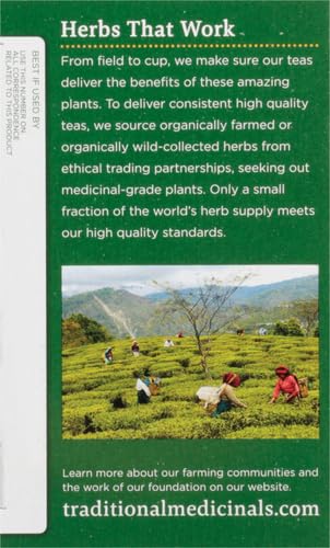 Traditional Medicinals - Organic Hibiscus Herbal Tea (6 Pack) - Supports Heart Health - 96 Tea Bags Total - Nirvana Guru