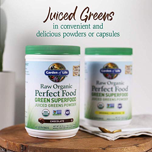 Garden of Life Raw Organic Perfect Food Green Superfood Juiced Greens Powder - Chocolate, 30 Servings (Packaging May Vary) - Nirvana Guru