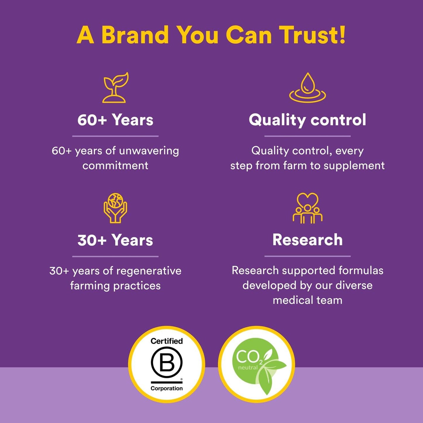 Natural Factors, Kids Chewable Vitamin C 500 mg, Supports Immune Health, Bones, Teeth and Gums, Tangy Orange, 180 Count (Pack of 1) - Nirvana Guru