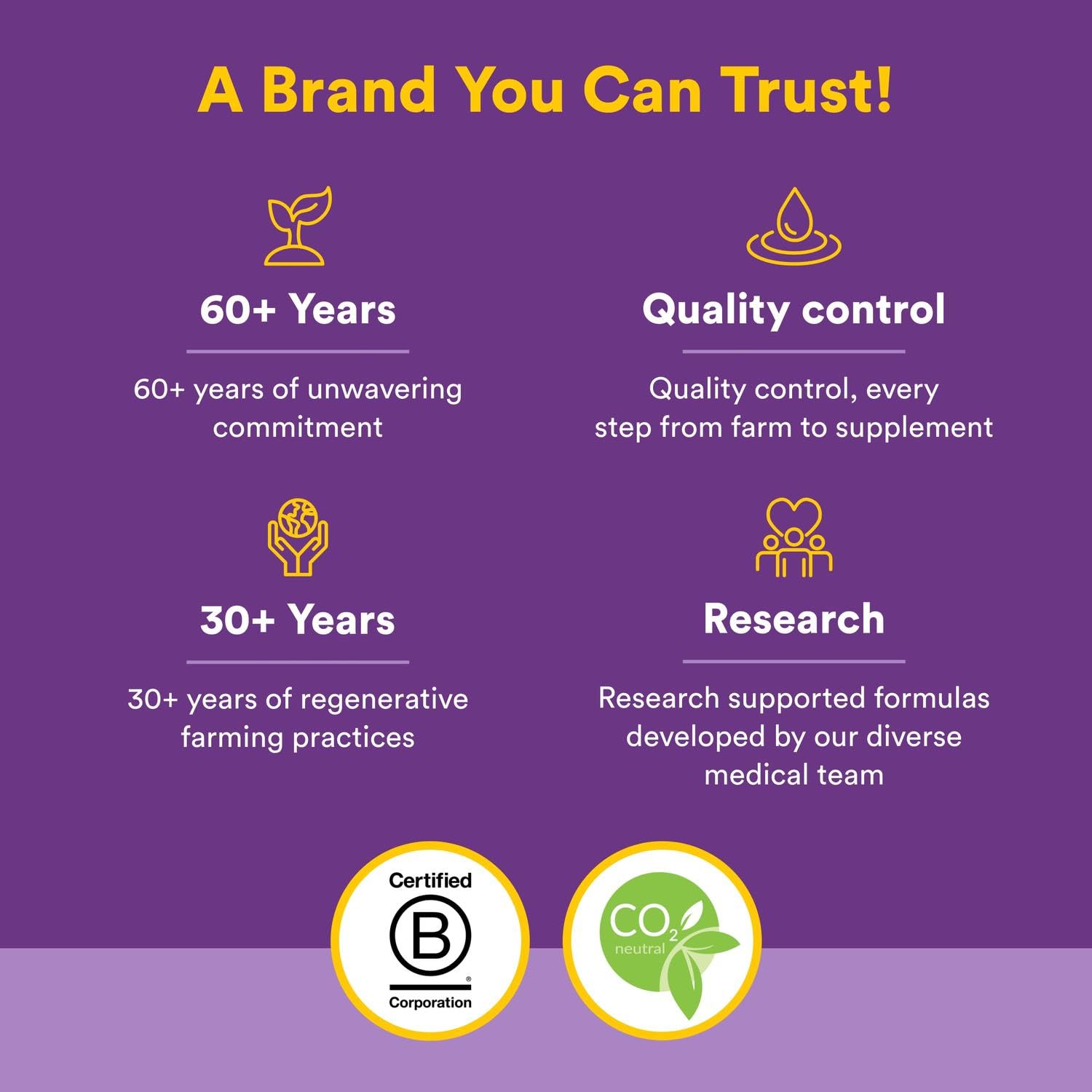 Natural Factors, Kids Chewable Vitamin C 500 mg, Supports Immune Health, Bones, Teeth and Gums, Tangy Orange, 180 Count (Pack of 1) - Nirvana Guru