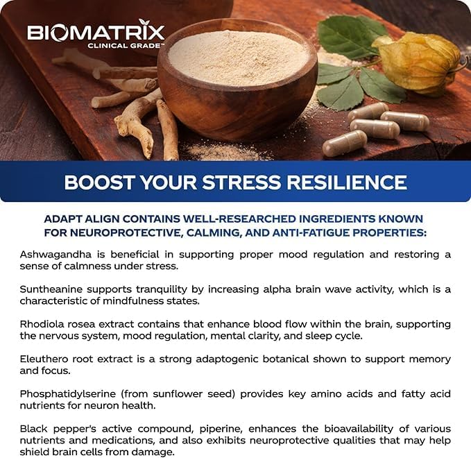 BioMatrix Adaptogen Supplement w/Ashwagandha, L-Theanine, Rhodiola, Ginseng | Cortisol Support, Stress Relief, Focus, Mood | 60 Capsules Nirvana Guru