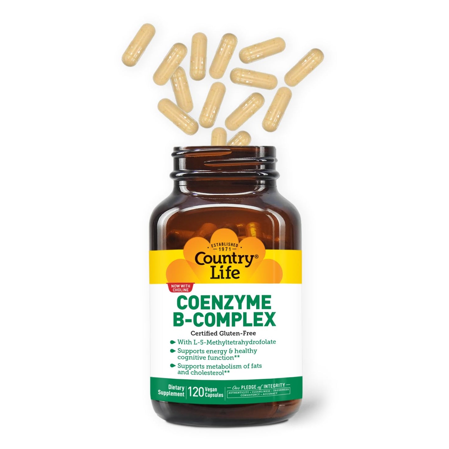 Country Life Coenzyme B-Complex, 120 Capsules – Supports Energy & Metabolism, Mood & Cognitive Function – Vegan, Gluten-Free, Bioavailable B Vitamins with Choline Nirvana Guru