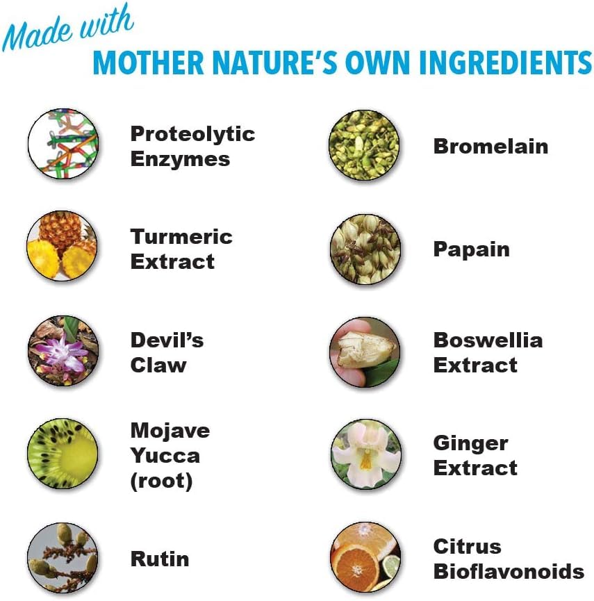 HEAL-N-SOOTHE Proteolytic Enzymes - Natural Joint Support Supplement - Unique Blend of Bromelain, Papain, Boswellia, and Turmeric - 90 Count Nirvana Guru