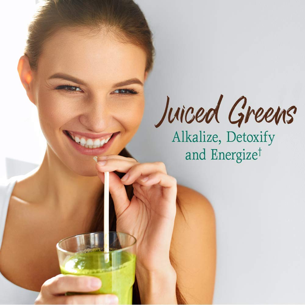 Garden of Life Raw Organic Perfect Food Green Superfood Juiced Greens Powder - Chocolate, 30 Servings (Packaging May Vary) - Nirvana Guru