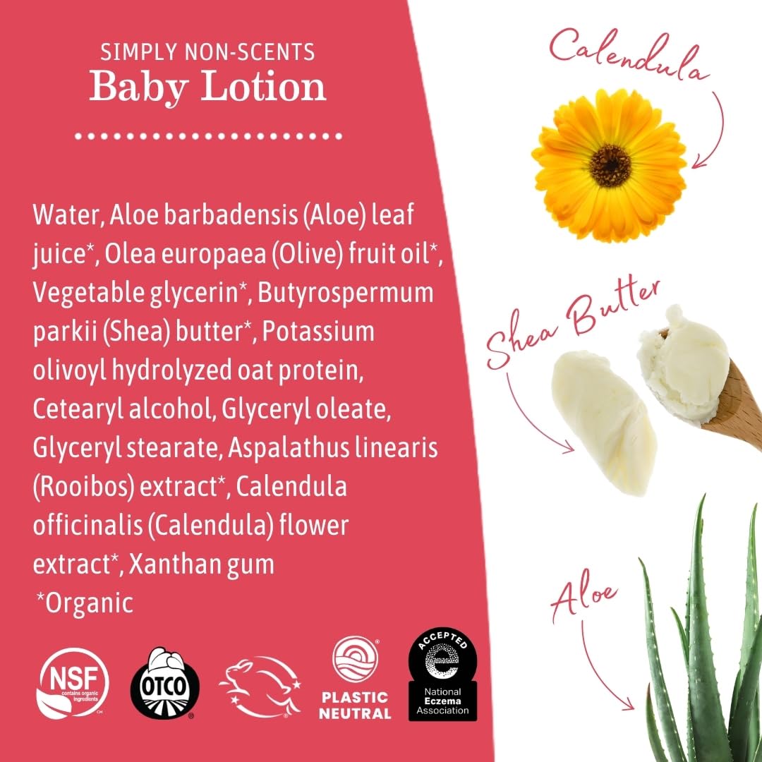 Earth Mama Simply Non-Scents Baby Lotion for Dry Skin, Calendula Cream, Skin Care for Kids, Organic Moisturizer, Unscented Lotion with Aloe, Rooibos, & Shea Butter, 8-Fl oz (2-Pk) Nirvana Guru