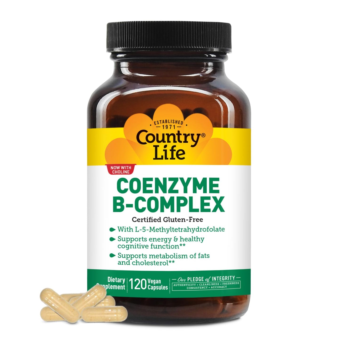 Country Life Coenzyme B-Complex, 120 Capsules – Supports Energy & Metabolism, Mood & Cognitive Function – Vegan, Gluten-Free, Bioavailable B Vitamins with Choline Nirvana Guru