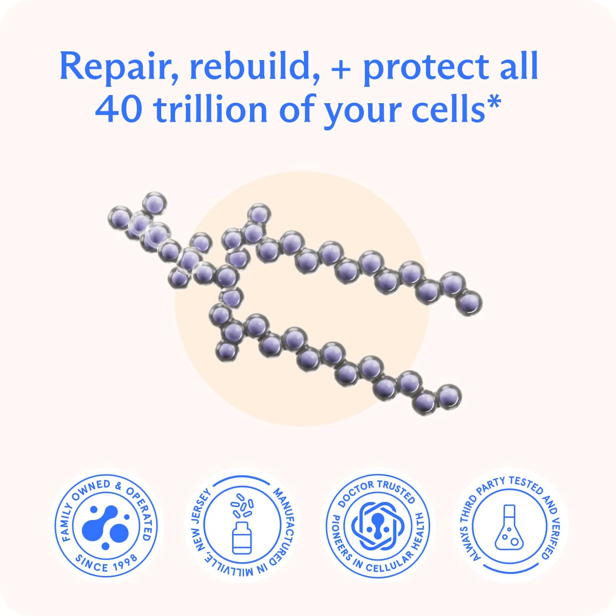BodyBio PC - Phosphatidylcholine for Brain Health, Mental Clarity, Cognitive Function, Cellular Repair & Healthy Aging, Phospholipid Complex Supplement for Gentle Daily Detox Nirvana Guru