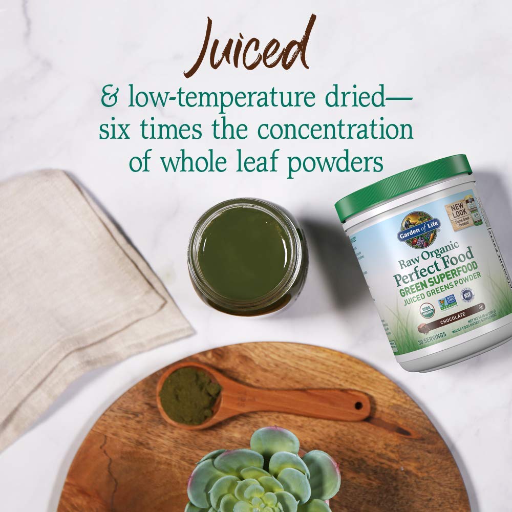 Garden of Life Raw Organic Perfect Food Green Superfood Juiced Greens Powder - Chocolate, 30 Servings (Packaging May Vary) - Nirvana Guru