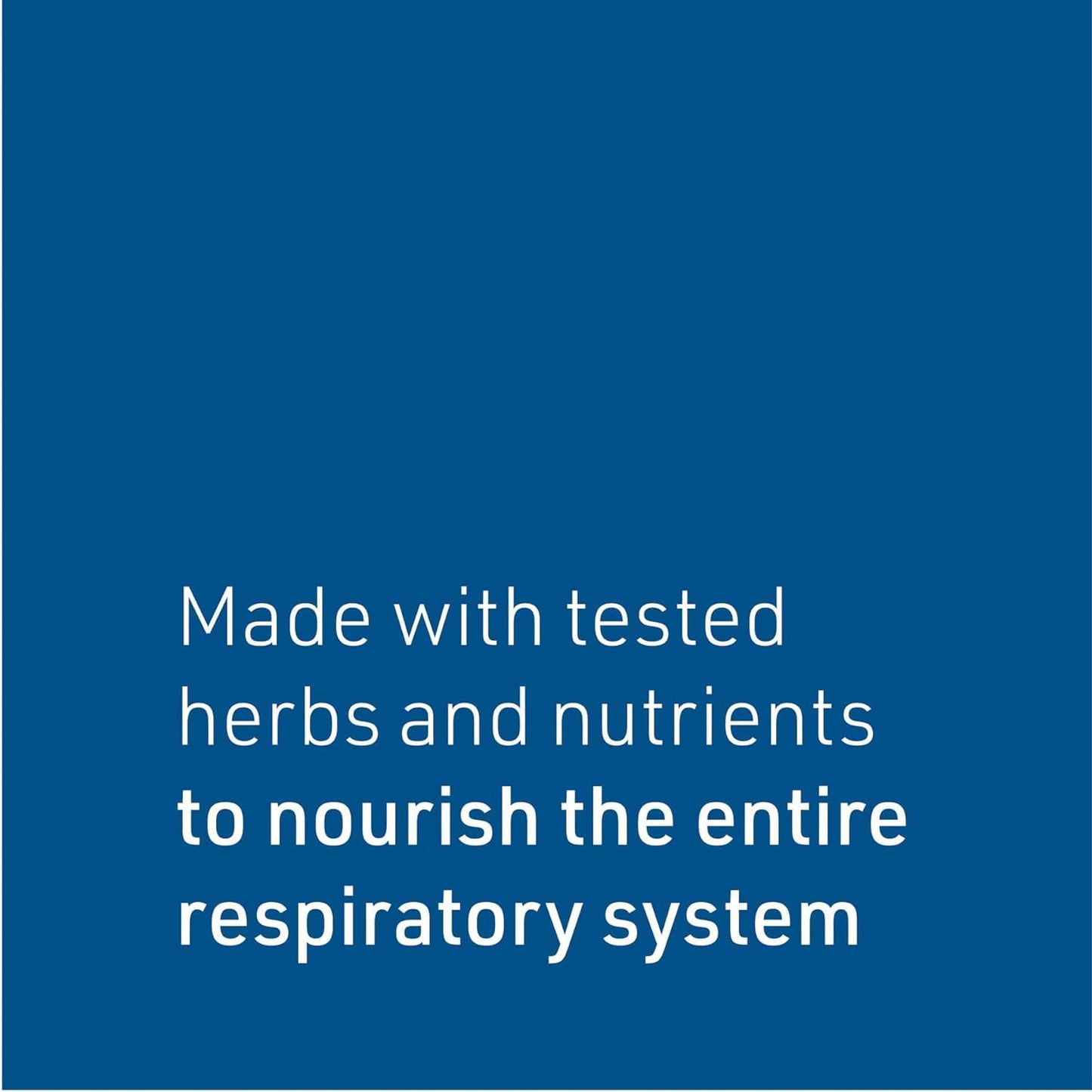 Natural Factors Lung, Bronchial & Sinus Health, Natural Supplement for Respiratory Health and Easy Breathing, 90 Tablets - Nirvana Guru