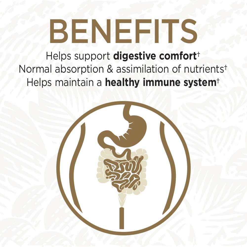 Garden of Life Whole Food Probiotic Supplement - Primal Defense ULTRA Ultimate For Digestive and Gut Health, 216 Vegetarian Capsules
