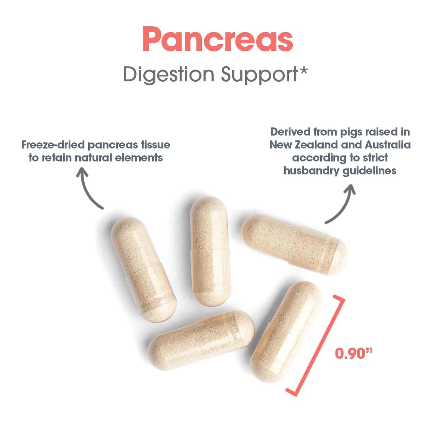 Allergy Research Group Pancreas Supplement - Pancreatic Enzymes for Women and Men, Digestive Pork Pancreas Powder Capsules, Healthy Digestion Support - 720 Capsules Nirvana Guru
