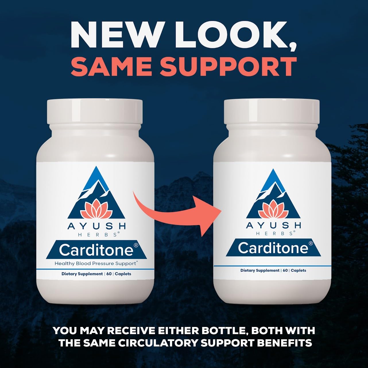 Ayush Herbs Carditone - Natural Heart Health Supplement for Women & Men, BP Formula, Holistic Heart Support with Rauwolfia, Arjuna, Calcium, and Magnesium - 60 Vegetarian Caplets (1 Count) Nirvana Guru