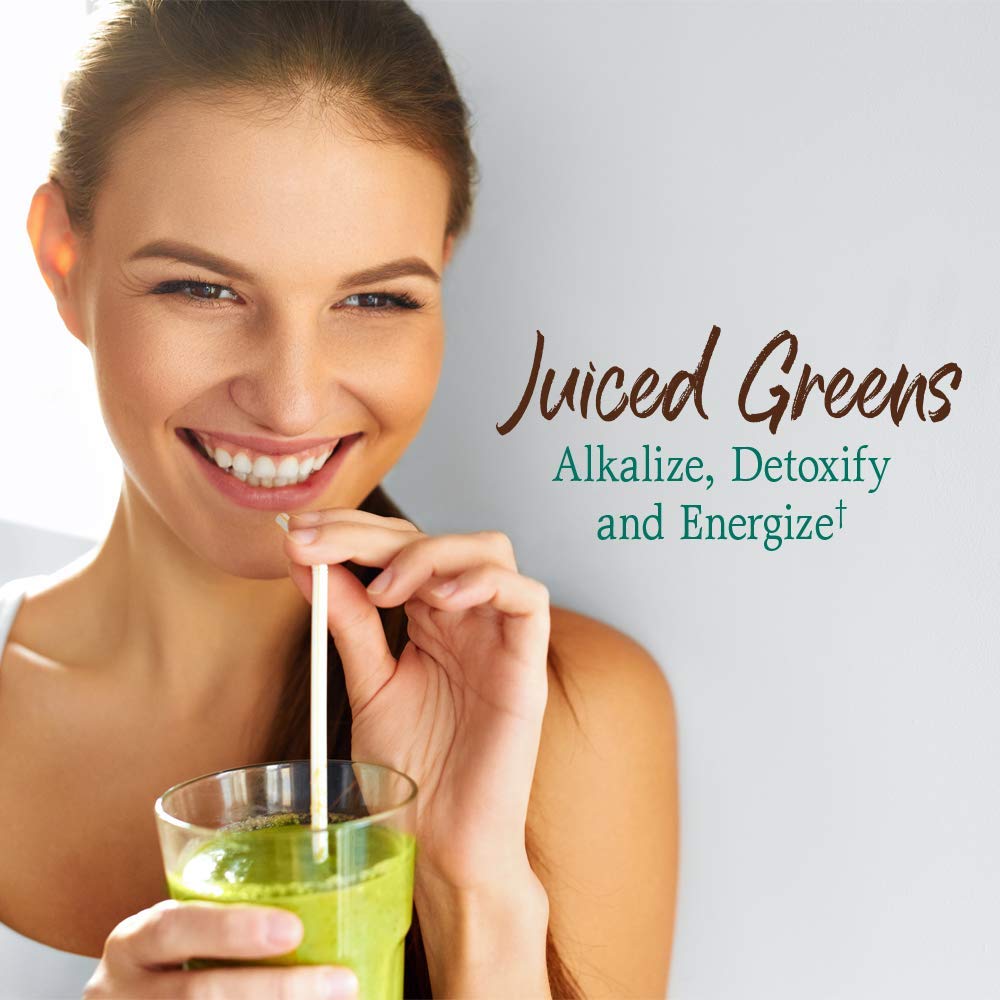 Garden of Life Raw Organic Perfect Food Green Superfood Juiced Greens Powder - Chocolate, 30 Servings (Packaging May Vary) - Nirvana Guru