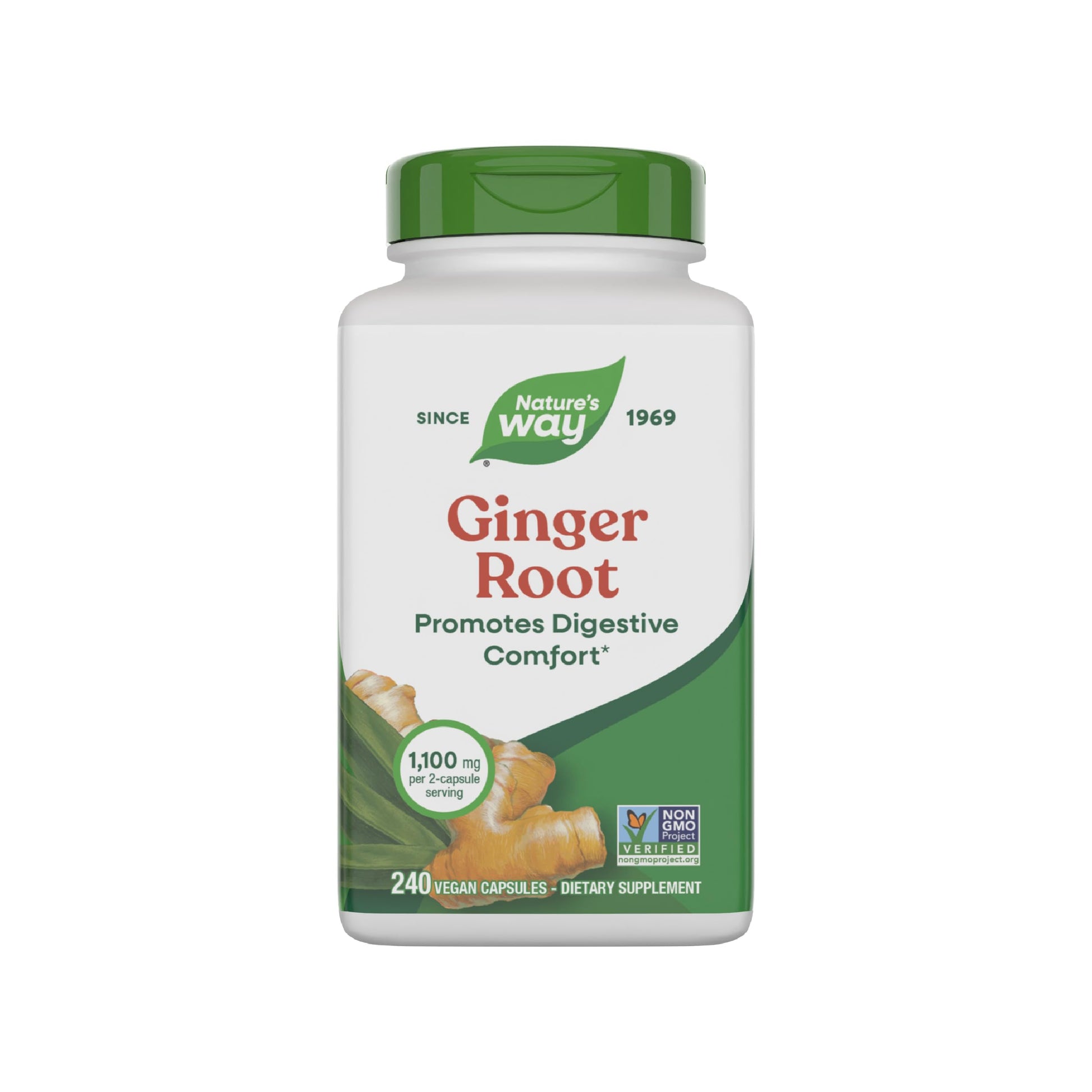 Nature's Way Ginger Root, Promotes Digestive Comfort*, Reduces Motion-Related Nausea*, 1,100 mg Per 2-capsule Serving, Non-GMO Project Verified, Vegan, 240 Capsules (Packaging May Vary) Nirvana Guru