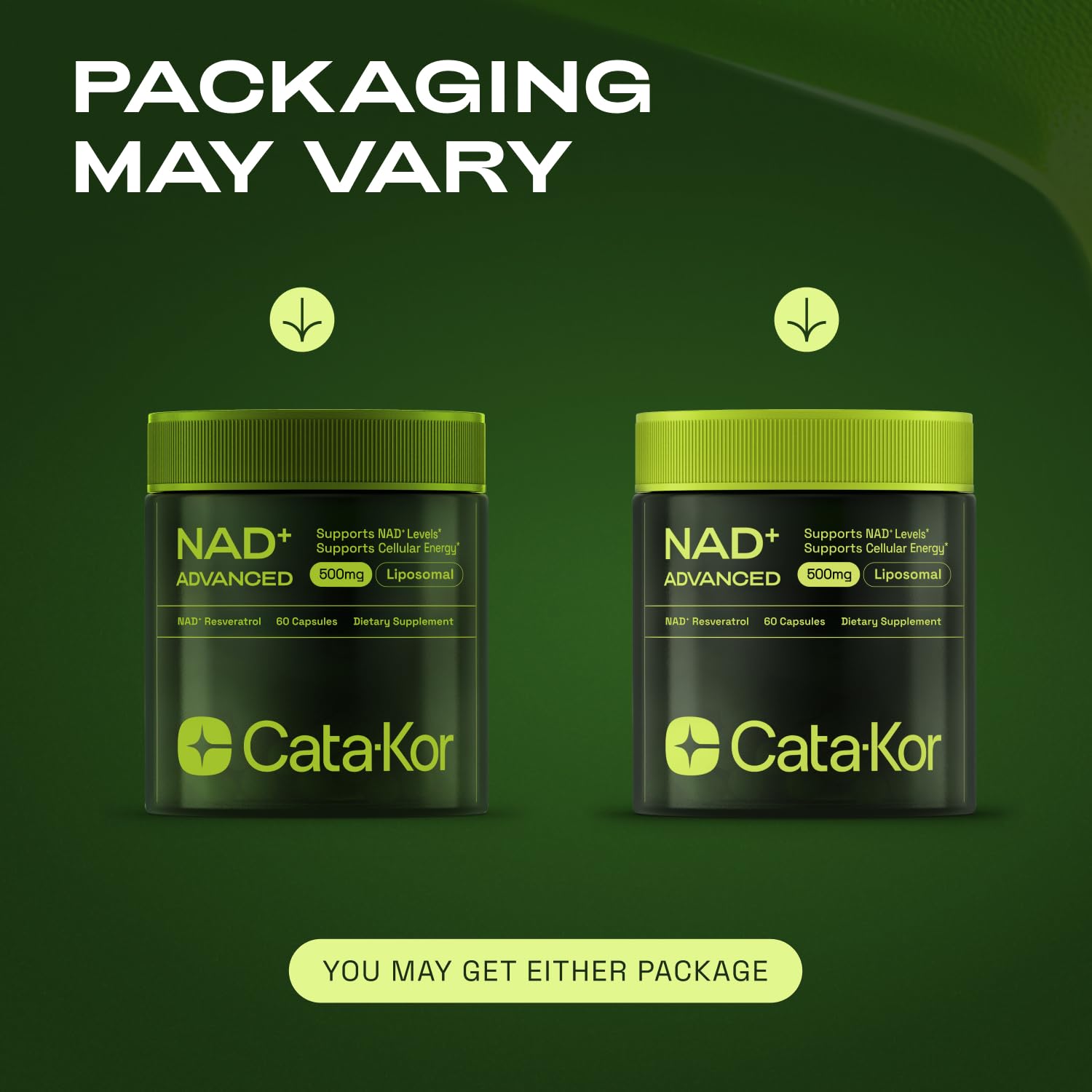 NMNH Supplement Alternative – Liposomal NAD + Resveratrol – 30-Day Supply – High Purity NAD Supplement for Energy & Healthy Aging – 60 Capsules Nirvana Guru