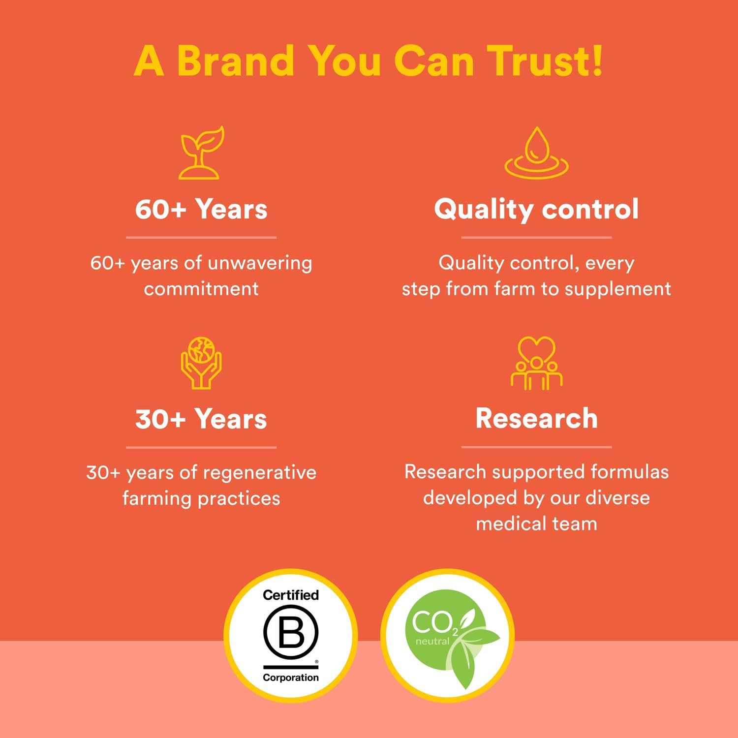 Natural Factors, Kids Chewable Vitamin C 500 mg, Supports Immune Health, Bones, Teeth and Gums, Tangy Orange, 180 Count (Pack of 1) - Nirvana Guru