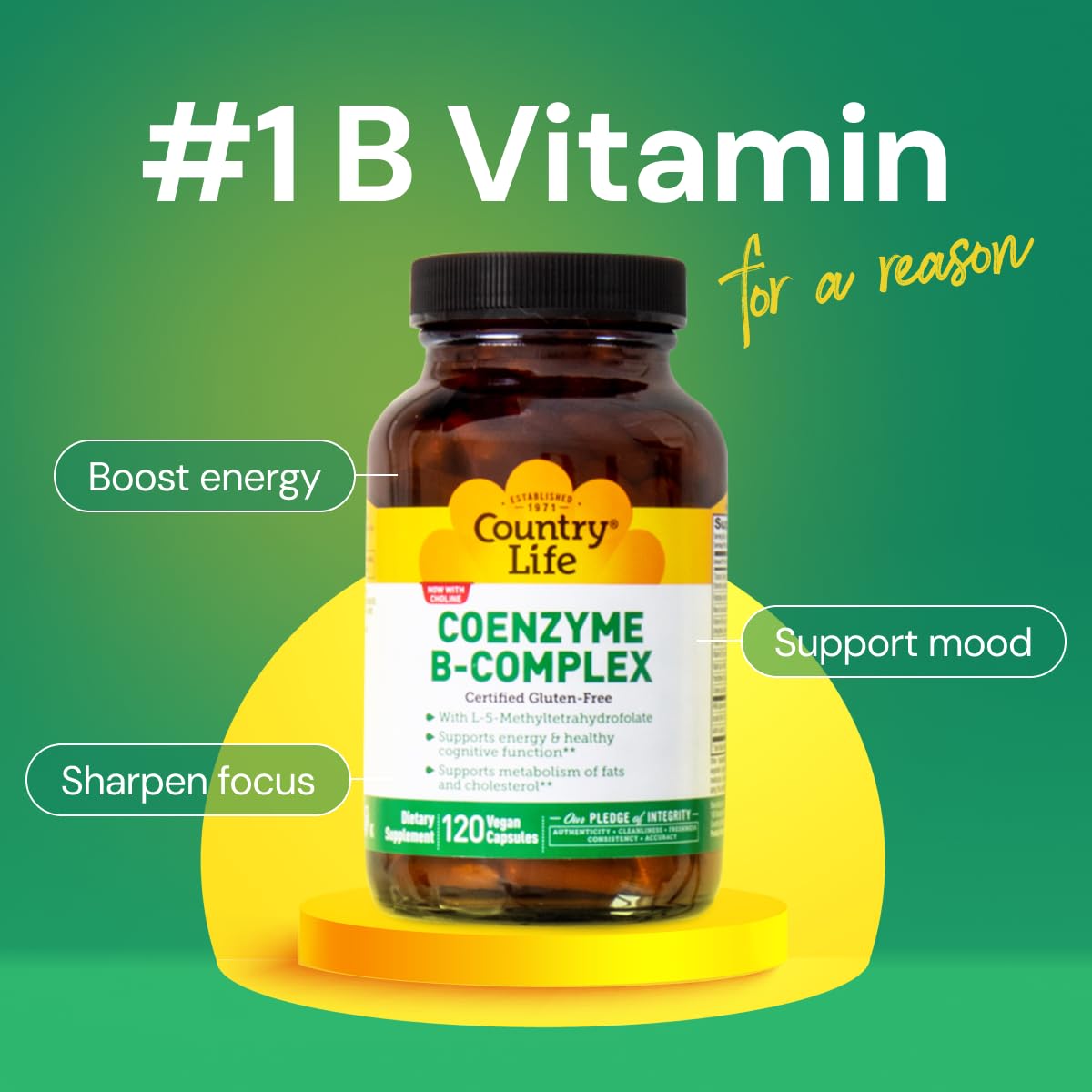 Country Life Coenzyme B-Complex, 120 Capsules – Supports Energy & Metabolism, Mood & Cognitive Function – Vegan, Gluten-Free, Bioavailable B Vitamins with Choline Nirvana Guru