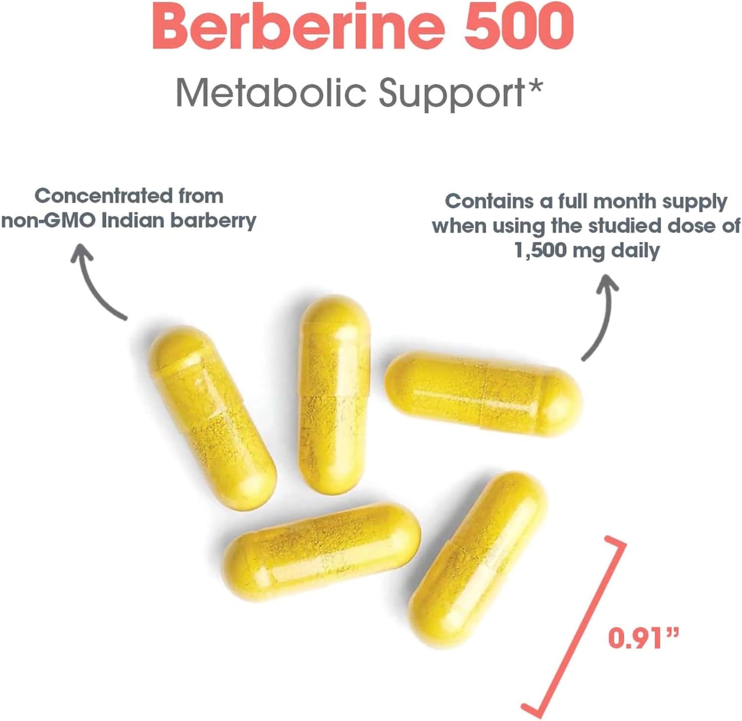 Allergy Research Group Berberine 500mg Supplement - Multi-Faceted Metabolic Support, Supports Healthy Cholesterol, Indian Barberry Root, Hypoallergenic, Vegetarian Capsules - 90 Count Nirvana Guru