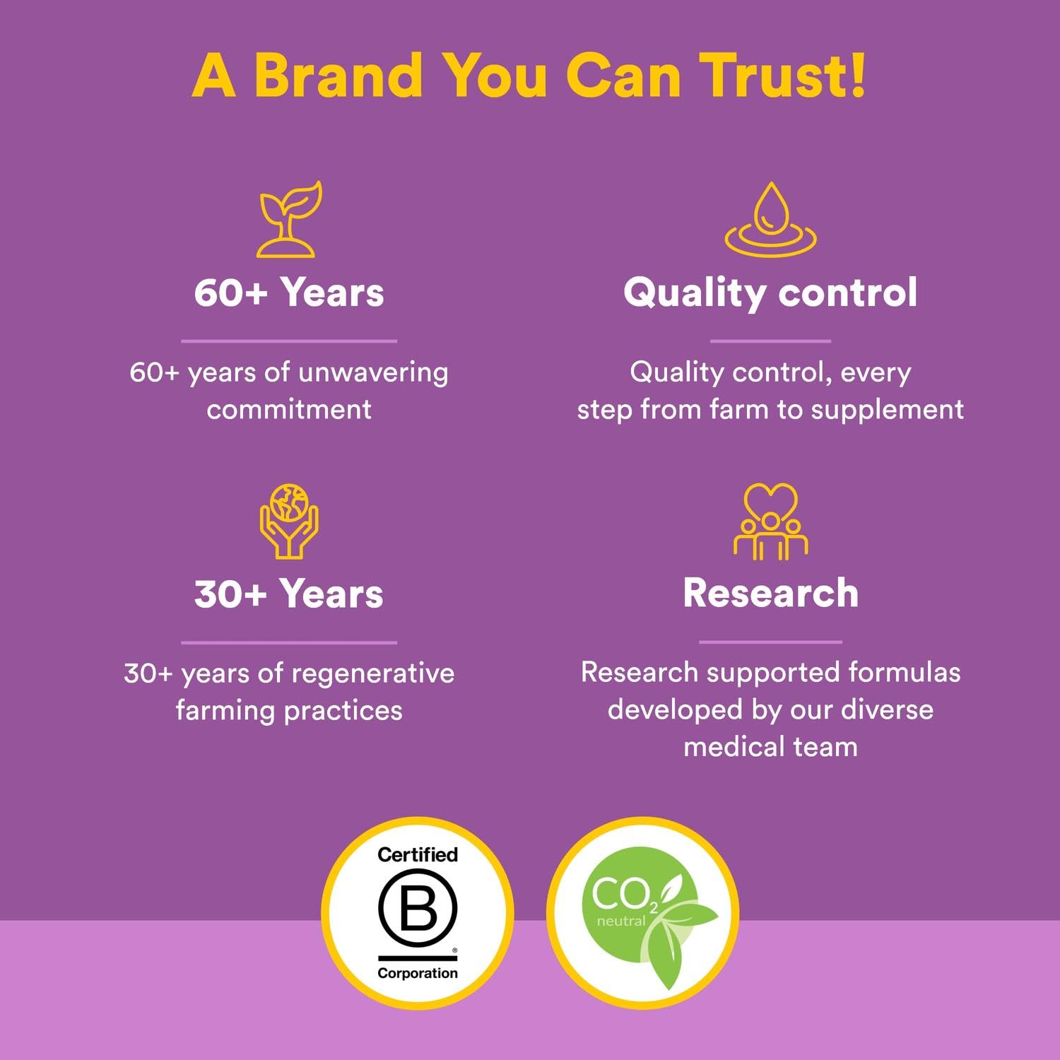 Natural Factors, Kids Chewable Vitamin C 500 mg, Supports Immune Health, Bones, Teeth and Gums, Tangy Orange, 180 Count (Pack of 1) - Nirvana Guru