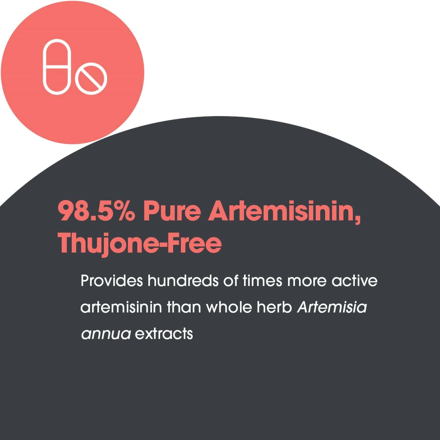 Allergy Research Group Artemisinin Supplement - Pure Sweet Wormwood Extract Artemisinin Capsules for Adults, Natural Immune Support with 200 mg, Digestive Health Support - 90 Vegetarian Capsules Nirvana Guru