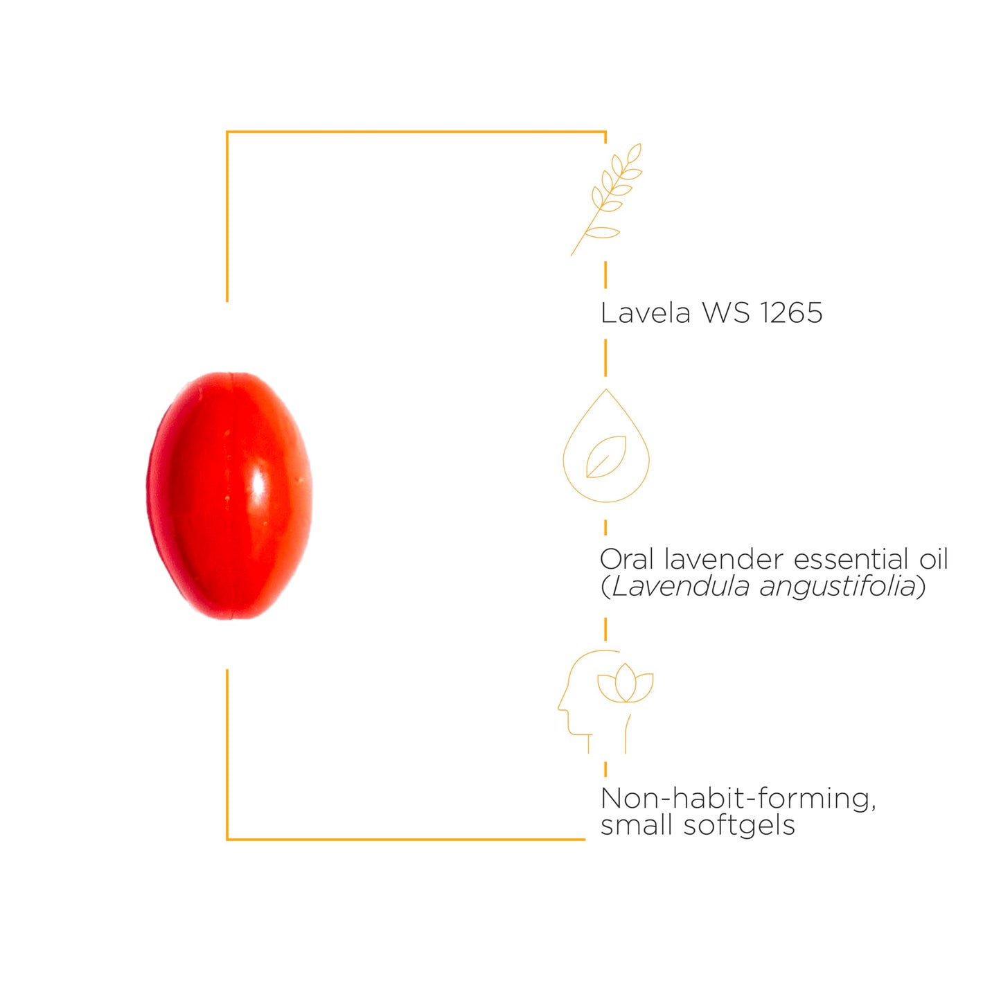 Integrative Therapeutics – Lavela WS 1265 - Clinically Studied Lavender Essential Oil Supplement - Calms Nervousness* - Reduces Stress* - 60 Softgels - Nirvana Guru