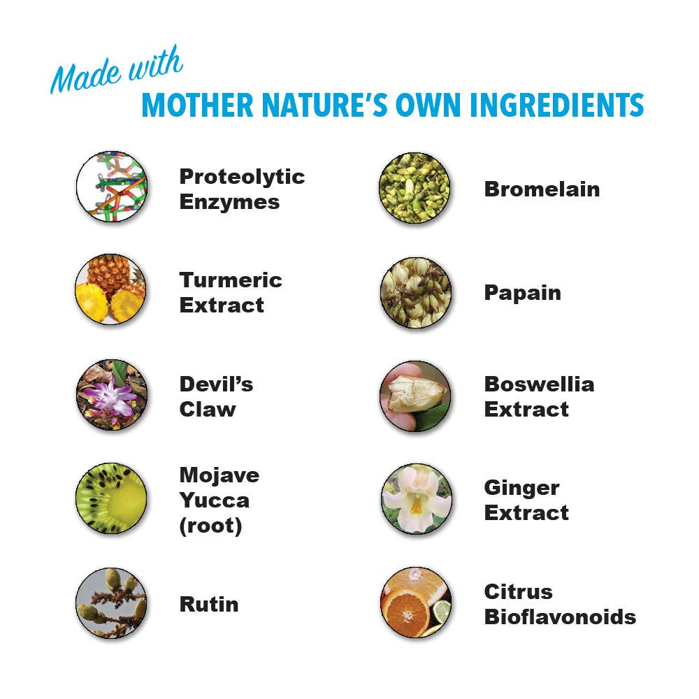 HEAL-N-SOOTHE Proteolytic Enzymes - Natural Joint Support Supplement - Unique Blend of Bromelain, Papain, Boswellia, and Turmeric - 90 Count Nirvana Guru