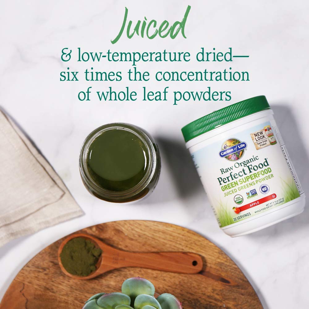 Garden of Life Raw Organic Perfect Food Green Superfood Juiced Greens Powder - Chocolate, 30 Servings (Packaging May Vary) - Nirvana Guru