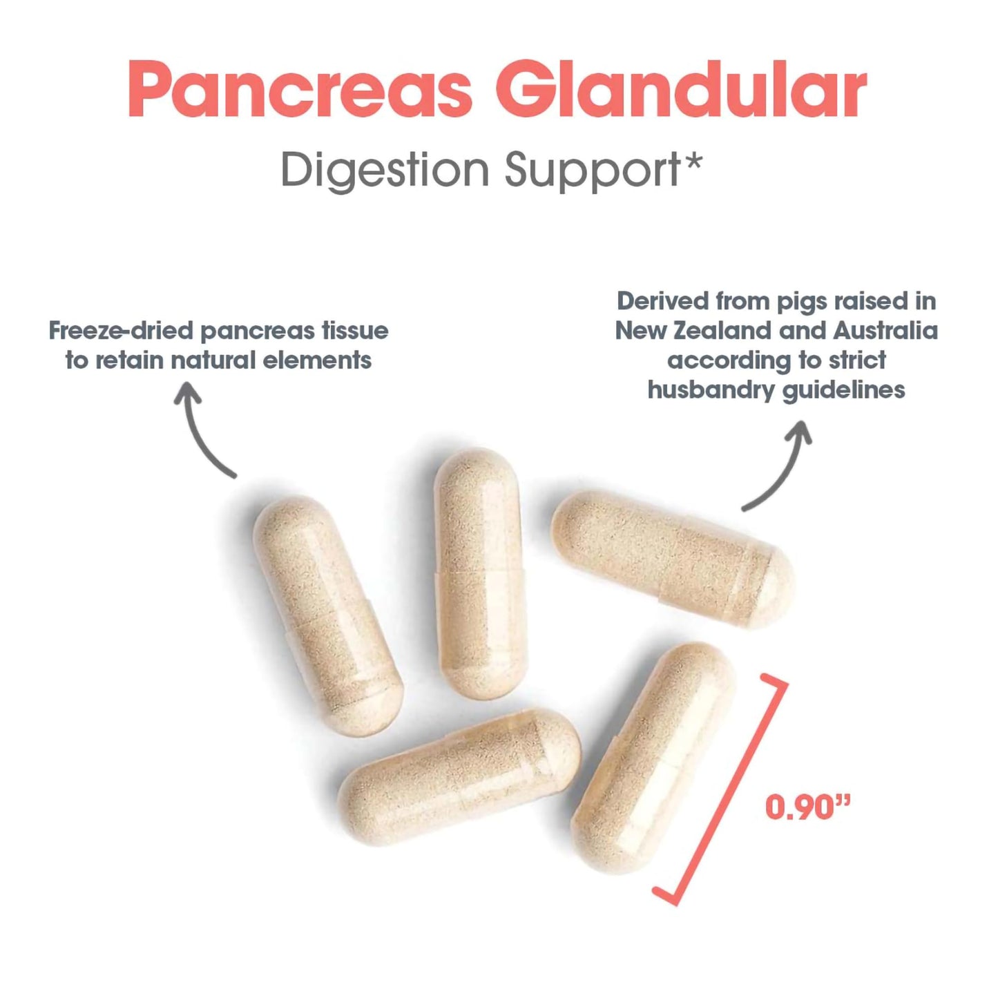 Allergy Research Group Pancreas Supplement - Pancreatic Enzymes for Women and Men, Digestive Pork Pancreas Powder Capsules, Healthy Digestion Support - 720 Capsules Nirvana Guru