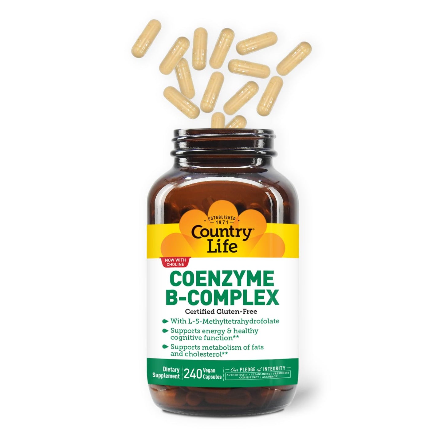 Country Life Coenzyme B-Complex, 120 Capsules – Supports Energy & Metabolism, Mood & Cognitive Function – Vegan, Gluten-Free, Bioavailable B Vitamins with Choline Nirvana Guru