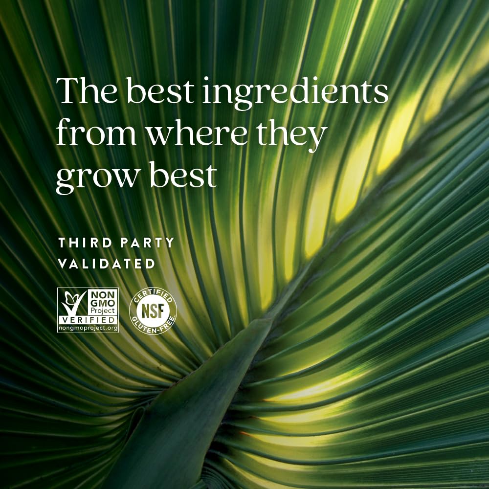 New Chapter Prostate Supplement - Prostate 5LX™ with Clinical Strength Saw Palmetto + Fermented Selenium for Men’s Wellness - 180 ct Vegetarian Capsule - Nirvana Guru