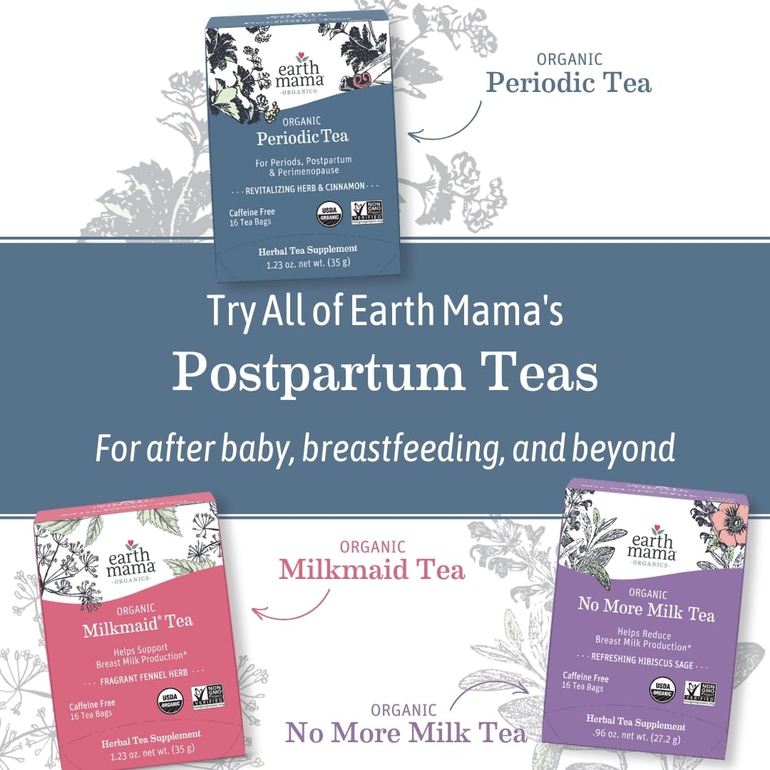 Earth Mama Organic Third Trimester Tea Bags | 100% USDA Organic Herbal Tea for Late Pregnancy Comfort + Childbirth Preparation, 16 Teabags Per Box (2-Pack) Nirvana Guru