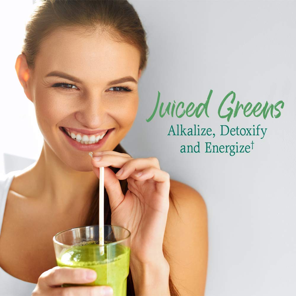 Garden of Life Raw Organic Perfect Food Green Superfood Juiced Greens Powder - Chocolate, 30 Servings (Packaging May Vary) - Nirvana Guru