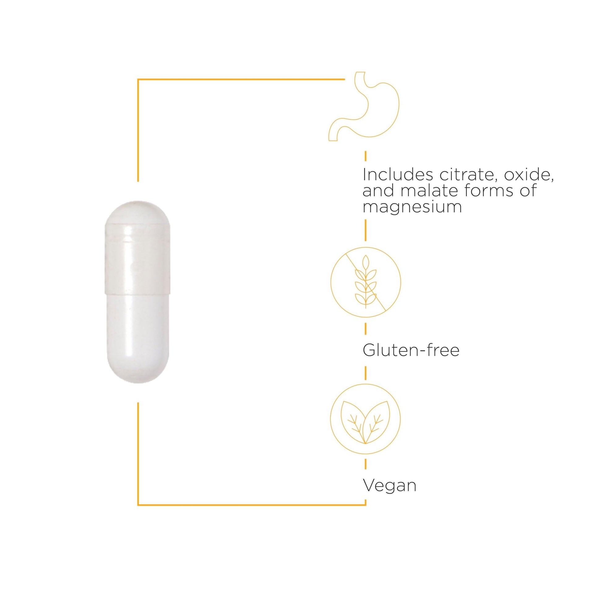 Integrative Therapeutics Tri-Magnesium - Supports Healthy Bones & Teeth* - Supports Cardiovascular & Neurological Function* - Promotes Calm* - 90 Capsules - Nirvana Guru