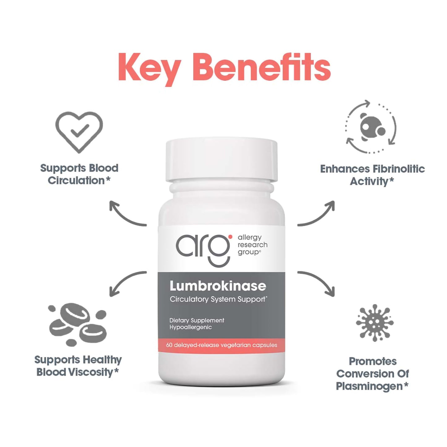 Allergy Research Group Lumbrokinase Supplement - Enzyme for Circulatory System Support, Supports Blood Circulation Already in The Normal Range, Cardiovascular Health - 60 Vegetarian Capsules Nirvana Guru
